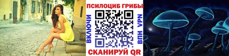 Купить где  Ярцево  Псилоцибиновые грибы GOLDEN TEACHER 