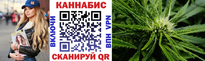 Купить закладки  Ярцево  Шишки марихуана сатива 